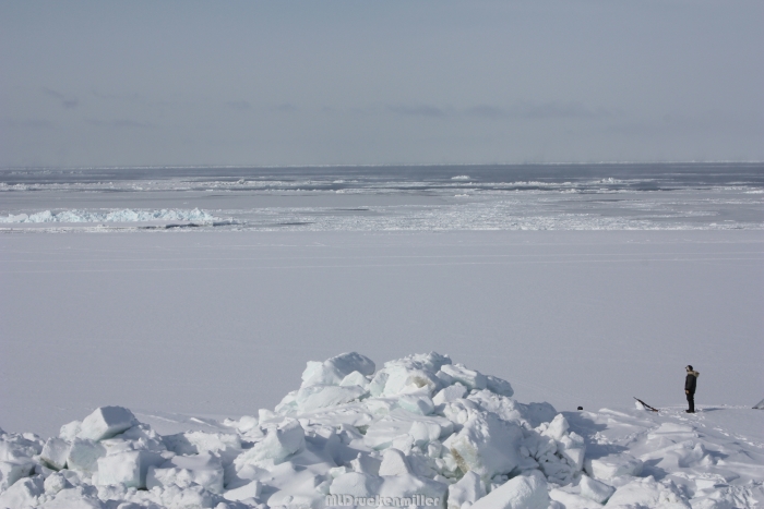 Local hunter looking at drift ice near the edge of the shorefast ice at Barrow, Alaska. Photo courtesy of Matthew Druckenmiller.