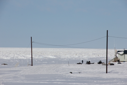 27 April 2014, the shorefast ice on the north coast off Savoonga, stretched beyond the horizon.