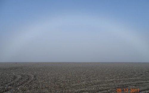 Gambell fogbow