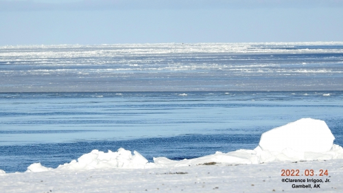 Lots of young ice in Gambell.