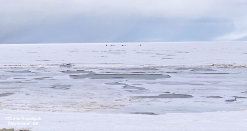 Launching boats in Shishmaref - view 2.