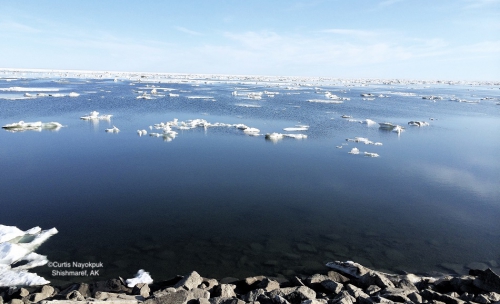 Nearshore ice conditions in Shishmaref looking north.