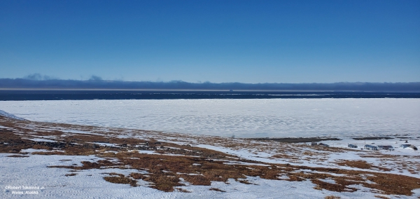 Nearshore ice conditions in Wales - view 1.