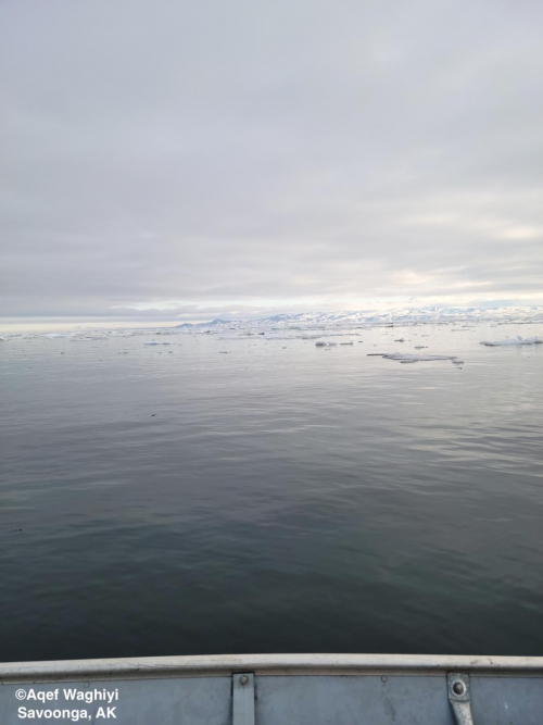 Sea ice and weather conditions in Savoonga - view 3.