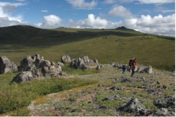 Lesley Dampier, a UNBC master's student, takes in the alpine vistas of the central Yukon Plateau. The weathered granitic outcrops, called tors, on the ridge crests are typical of areas that have escaped two or more of the most recent glaciations by the Cordilleran Ice Sheet. Photo by Paul Sanborn.