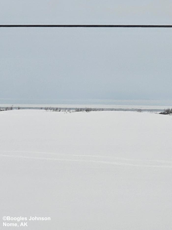 View from the first hill off the coast looking south at the Bering Sea - view 4. Photo courtesy of Boogles Johnson.