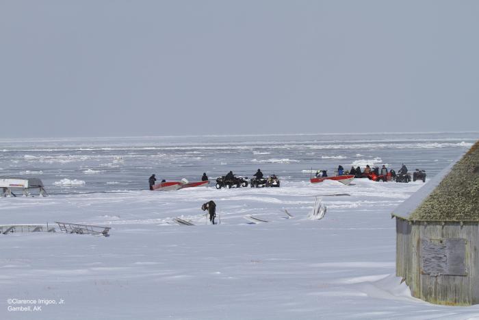 Whaling Captains getting restless, ice moving in. Photo courtesy of Clarence Irrigoo, Jr.