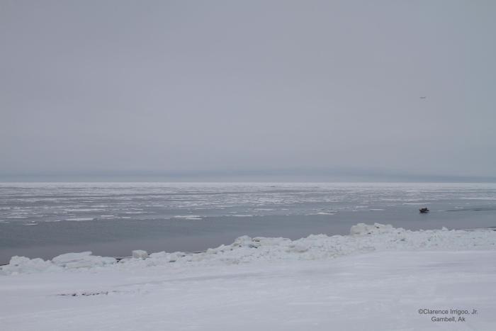 Few boats going out in Gambell on Friday afternoon. Photo courtesy of Clarence Irrigoo, Jr.