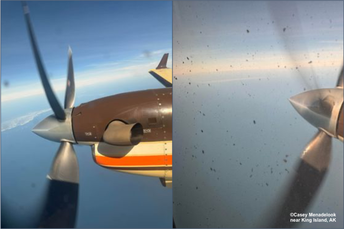 Sea ice remaining just south of King Island, AK. Photos courtesy of Casey Menadelook.