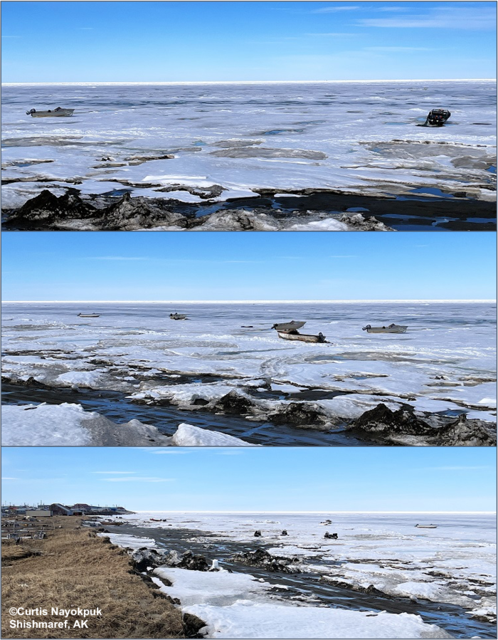 Weather and sea-ice conditions in Shishmaref. Photos courtesy of Curtis Nayokpuk.