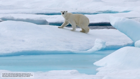 Photo by Bill Schmoker (PolarTREC 2010), Courtesy of ARCUS.