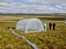 Completed greenhouse at Toolik Field Station, Alaska. Photo by David Walker.