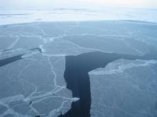 Sea Ice